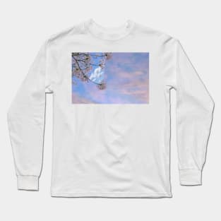 Unattainable Landscapes #4 Long Sleeve T-Shirt